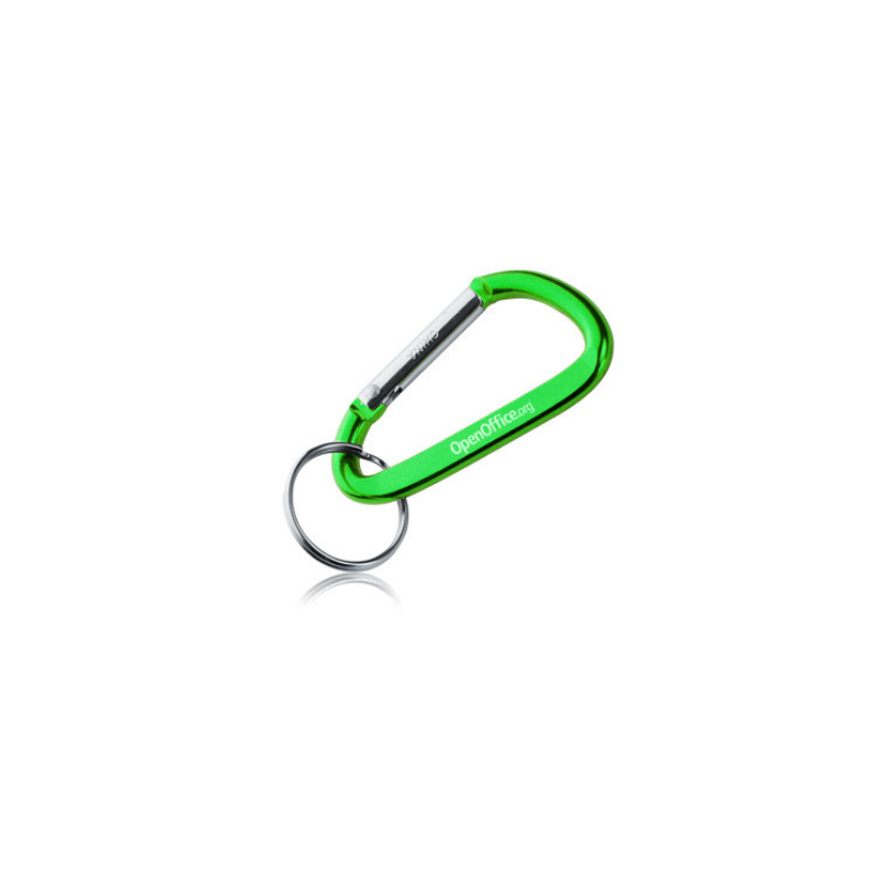 Metal Carabiner Keychains