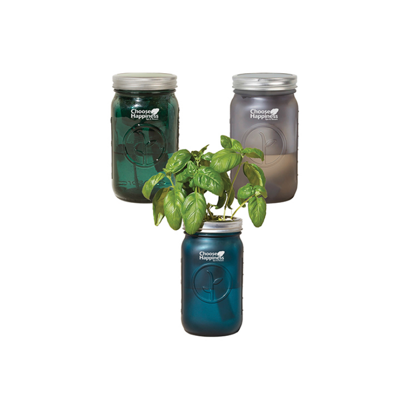 Modern Sprout Glass Indoor Herb Garden Kits